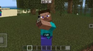 Features of 3D Minecraft PE: Everything You Need to Know